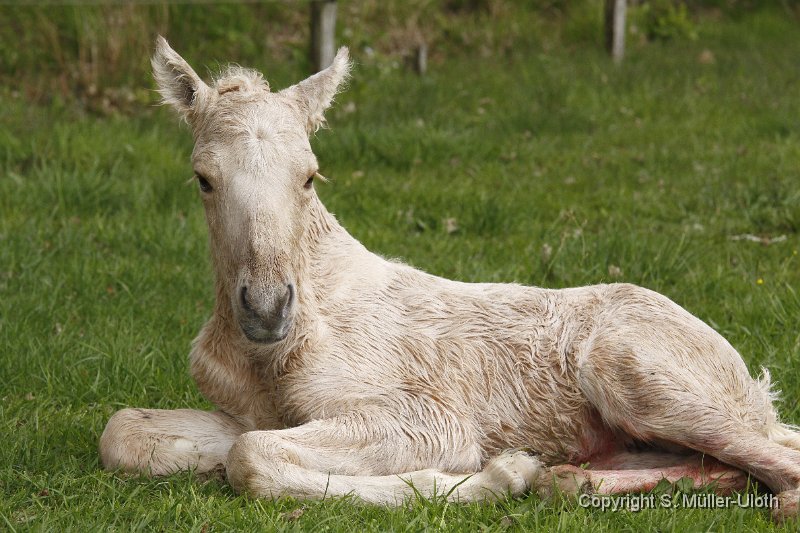 Hjoerdis 45 Min alt (3).JPG